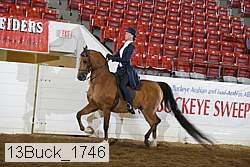 13buck_1746 proof