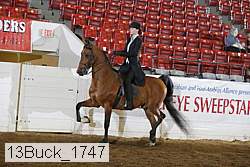 13buck_1747 proof