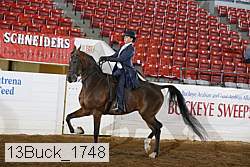 13buck_1748 proof