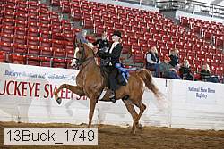 13buck_1749 proof