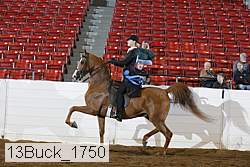 13buck_1750 proof