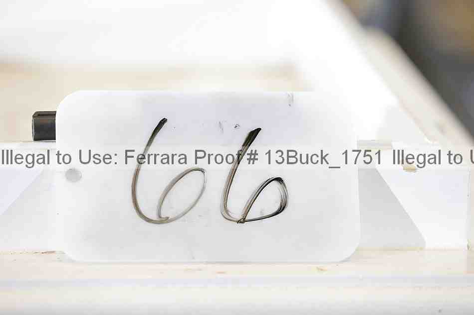 Proof 13buck_1751