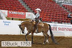 13buck_1753 proof