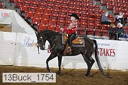 13buck_1754 proof