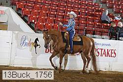 13buck_1756 proof
