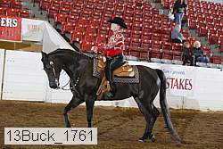 13buck_1761 proof