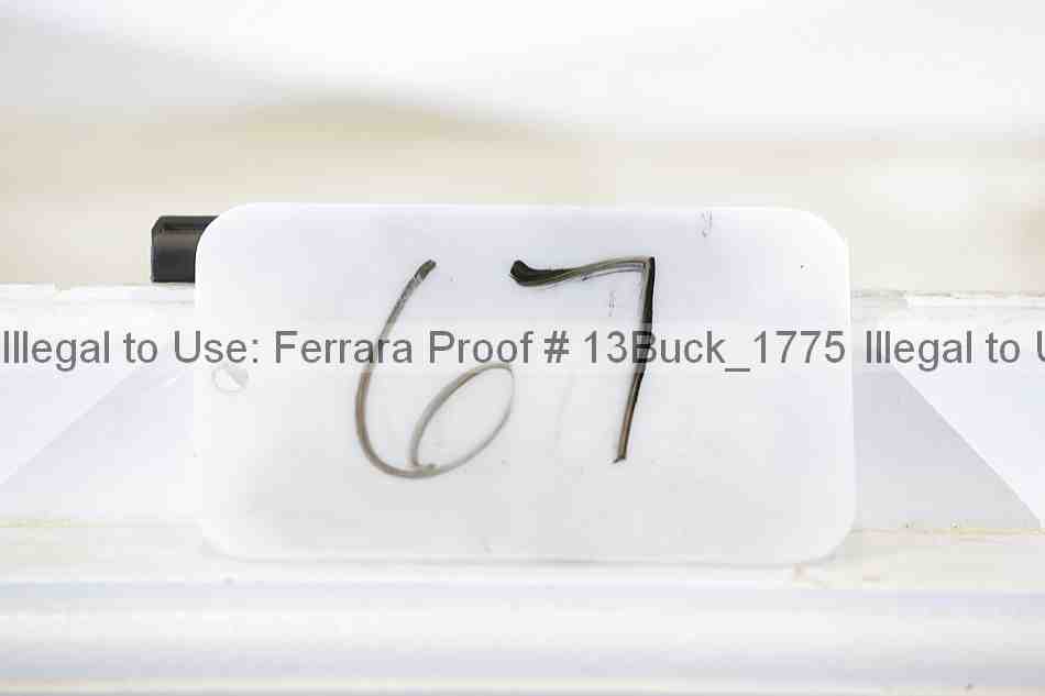 Proof 13buck_1775