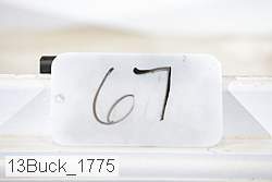 13buck_1775 proof