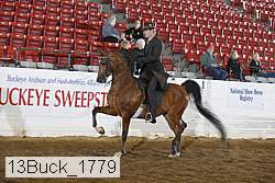 13buck_1779 proof