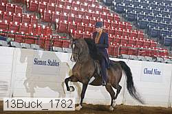 13buck_1782 proof