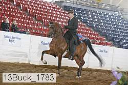 13buck_1783 proof
