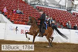 13buck_1784 proof