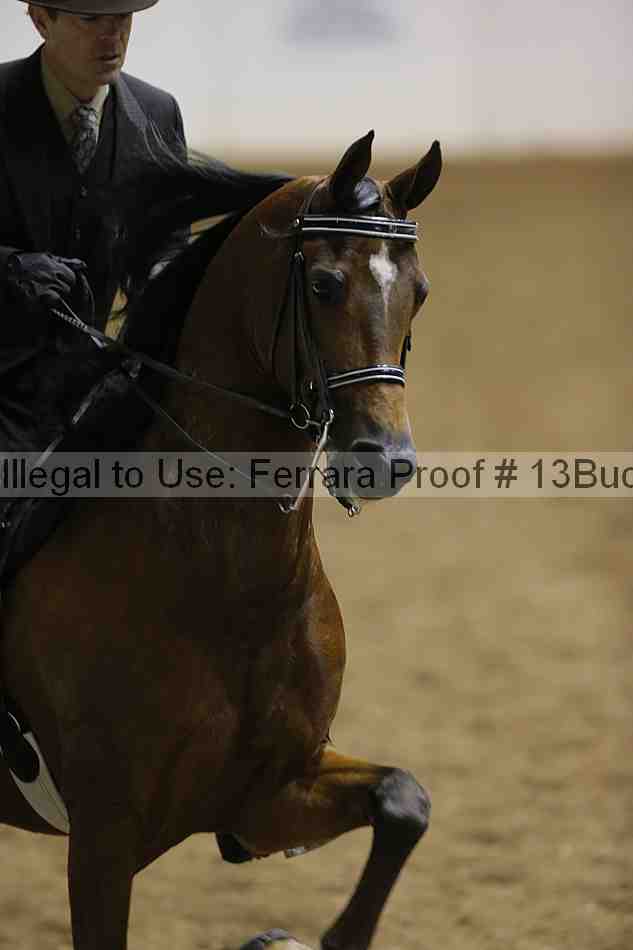 Proof 13buck_1787