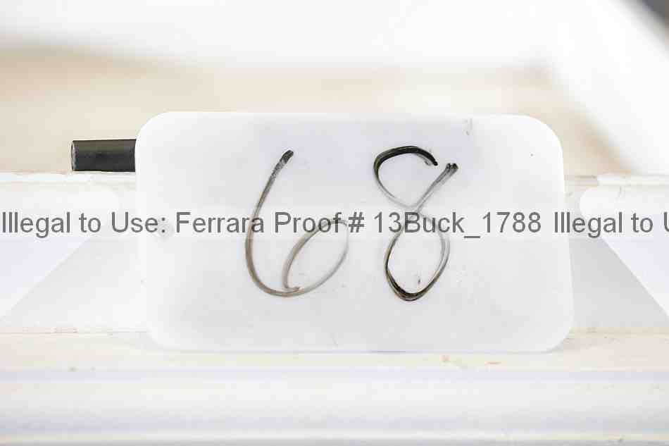 Proof 13buck_1788
