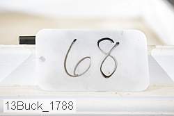 13buck_1788 proof