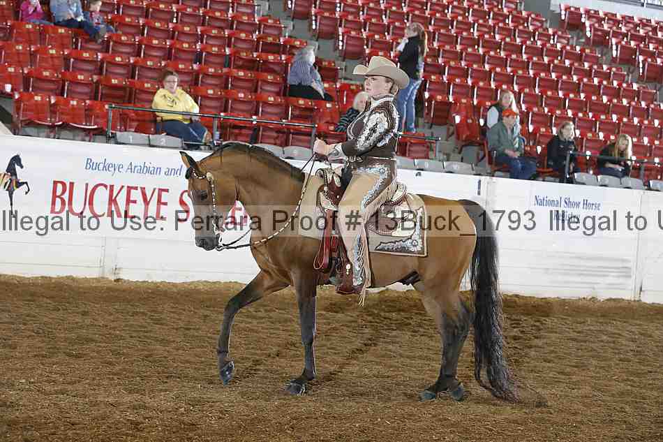 Proof 13buck_1793