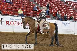 13buck_1793 proof