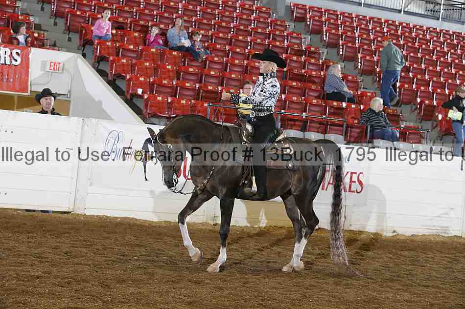 Proof 13buck_1795