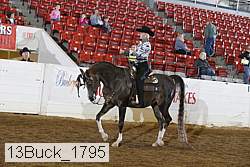 13buck_1795 proof