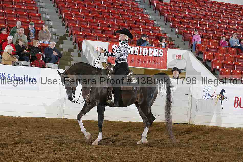 Proof 13buck_1796