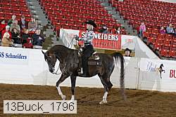 13buck_1796 proof