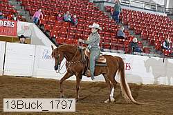 13buck_1797 proof