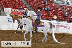 13buck_1800 proof