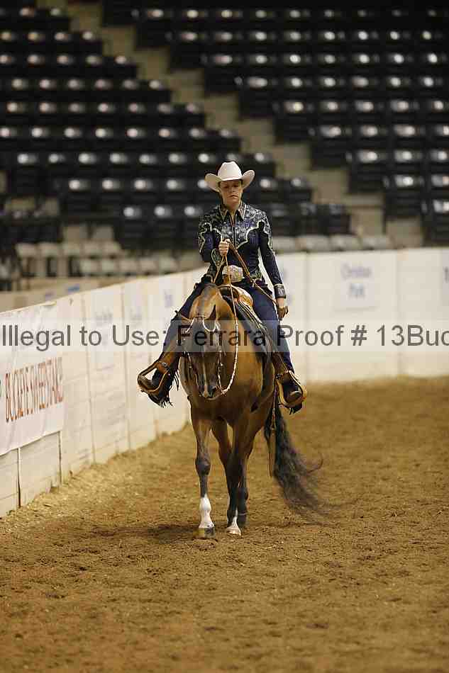 Proof 13buck_1801