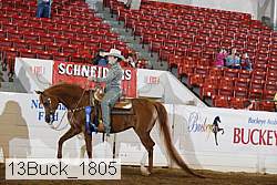 13buck_1805 proof