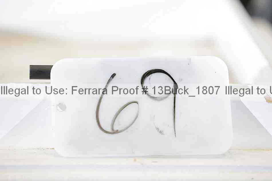 Proof 13buck_1807