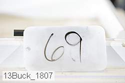 13buck_1807 proof