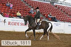 13buck_1811 proof