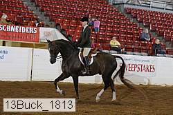 13buck_1813 proof