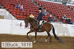 13buck_1816 proof