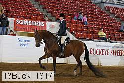13buck_1817 proof