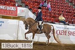 13buck_1818 proof