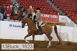 13buck_1823 proof