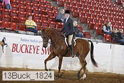 13buck_1824 proof