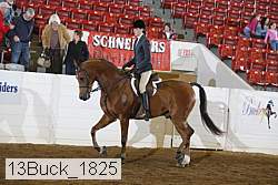 13buck_1825 proof