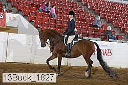 13buck_1827 proof