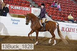 13buck_1828 proof