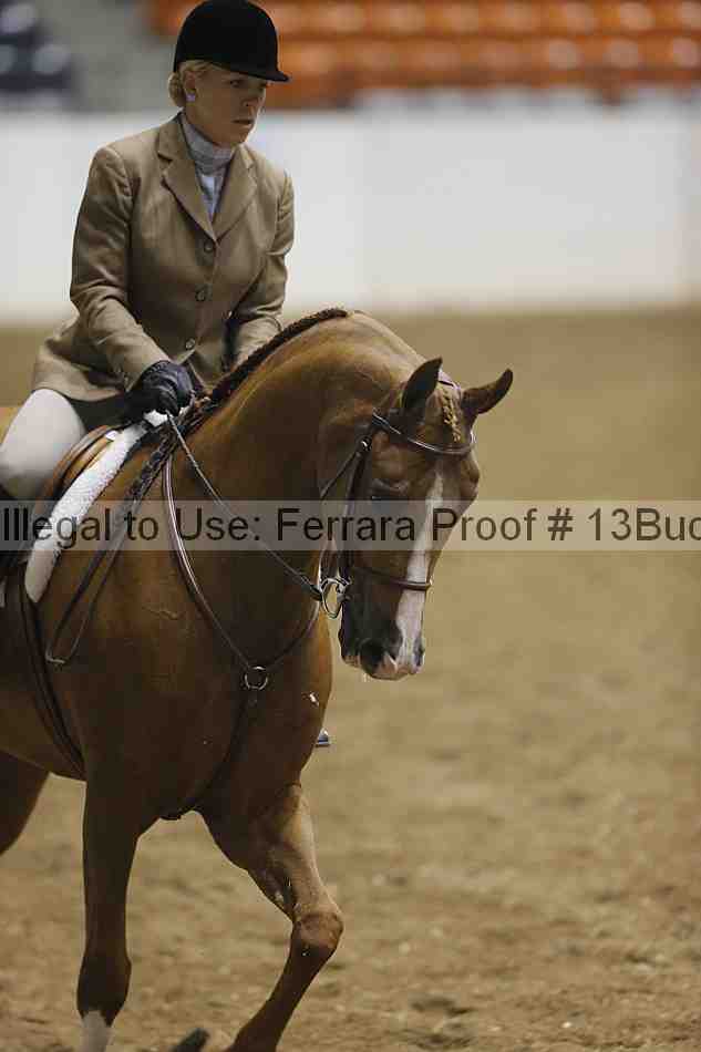 Proof 13buck_1829