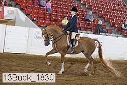 13buck_1830 proof