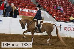 13buck_1832 proof
