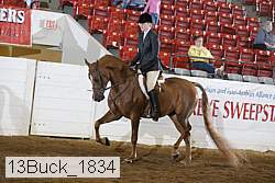 13buck_1834 proof