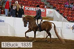 13buck_1835 proof