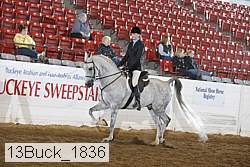 13buck_1836 proof