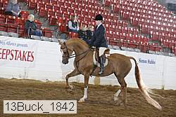 13buck_1842 proof
