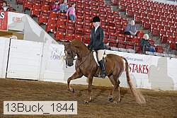 13buck_1844 proof