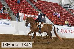 13buck_1845 proof